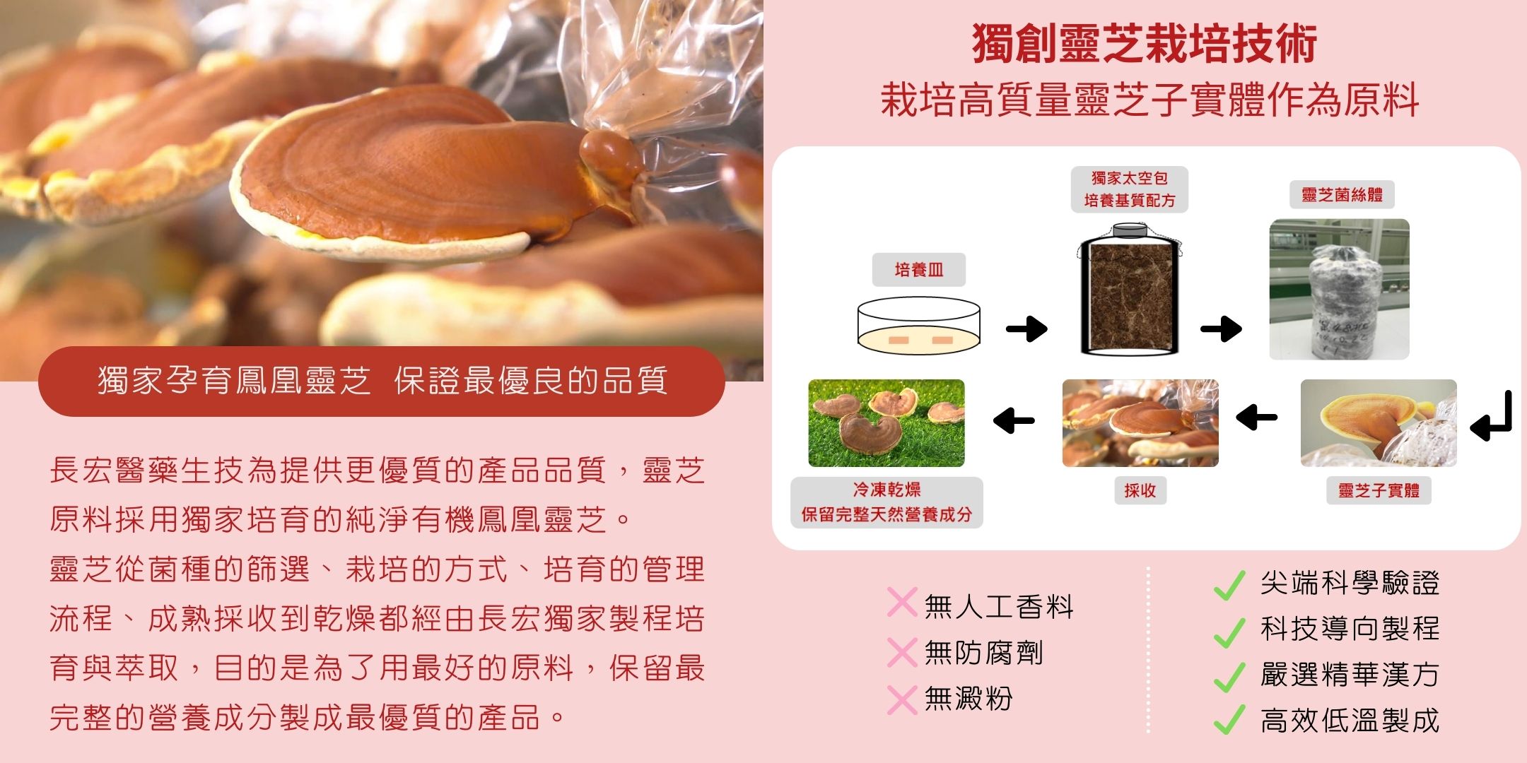 芝麻素